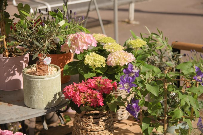 Un Jardin dans ma Ville - Édition 2025 photo 6